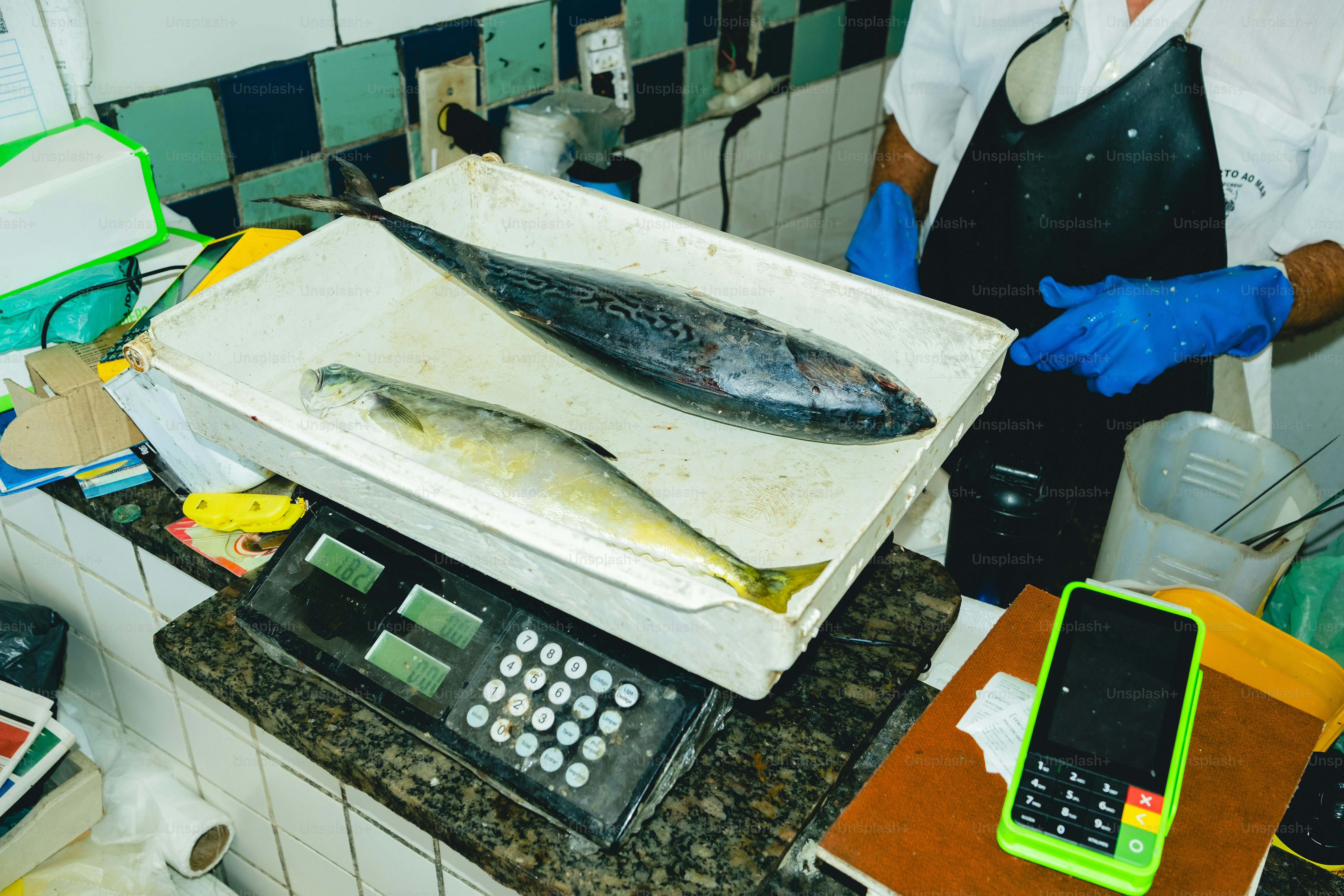 Fish is being weighed at a fish market.